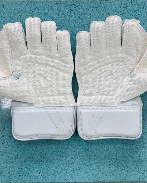 EM Limited Edition Wicket Keeping Gloves, photo 3