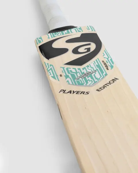 SG Players Edition English Willow Cricket Bat, photo 2